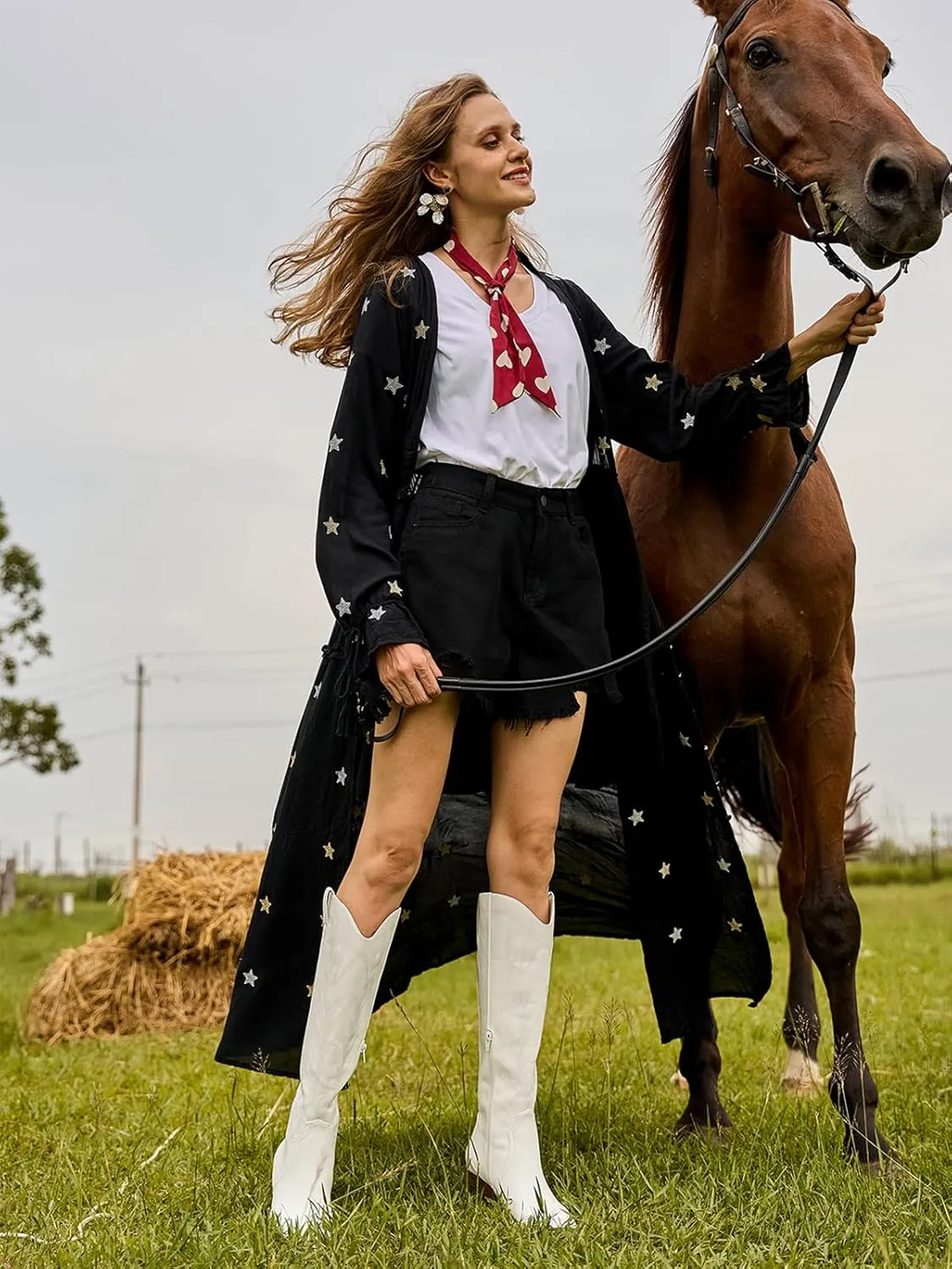 Mostrin Cowgirl Boots for Women Embroidered Cowboy Boots Pointed Toe Knee High Boots Chunky Block Heel Pull On Tall Western Boot for Ladies