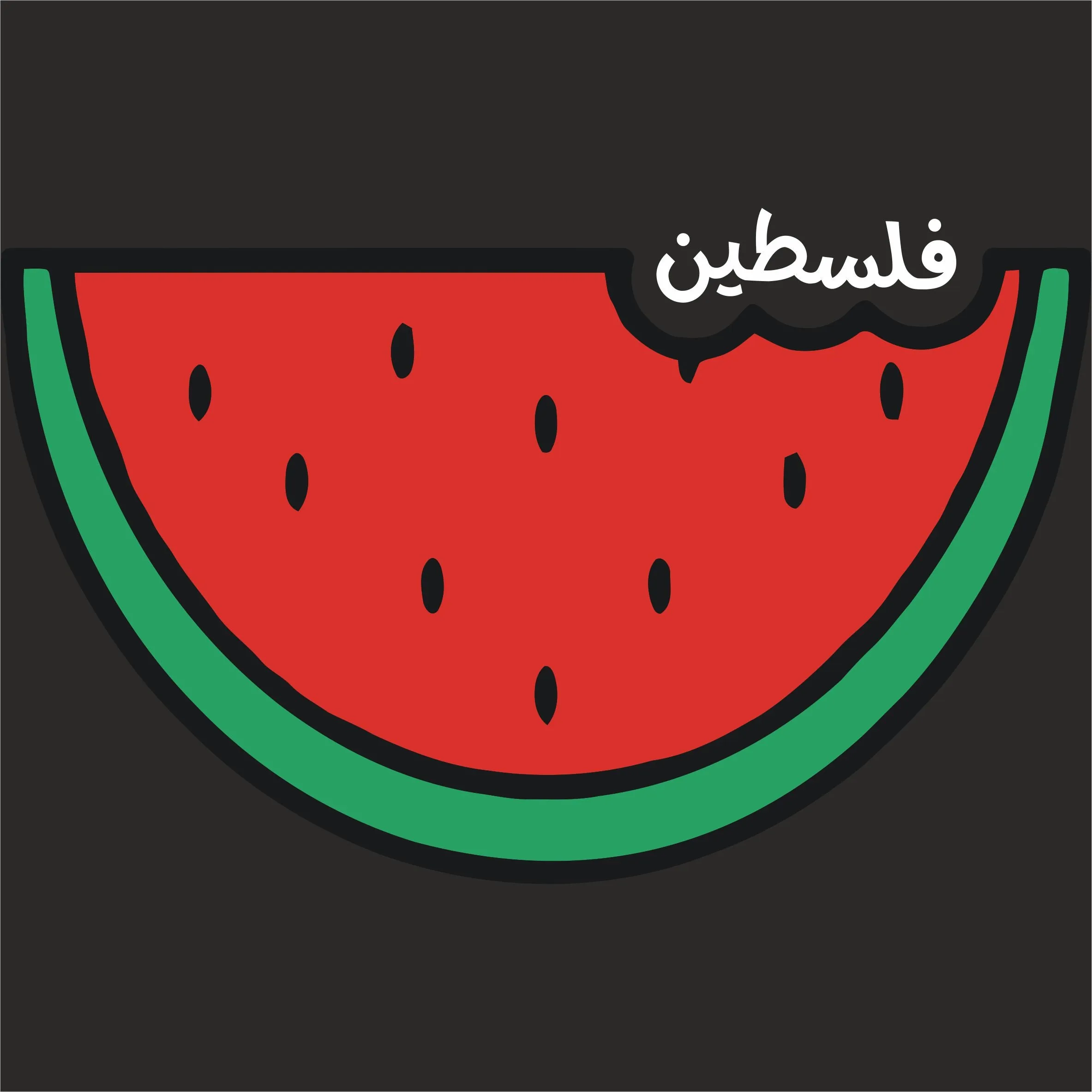 Palestine Watermelon Printed Hoody
